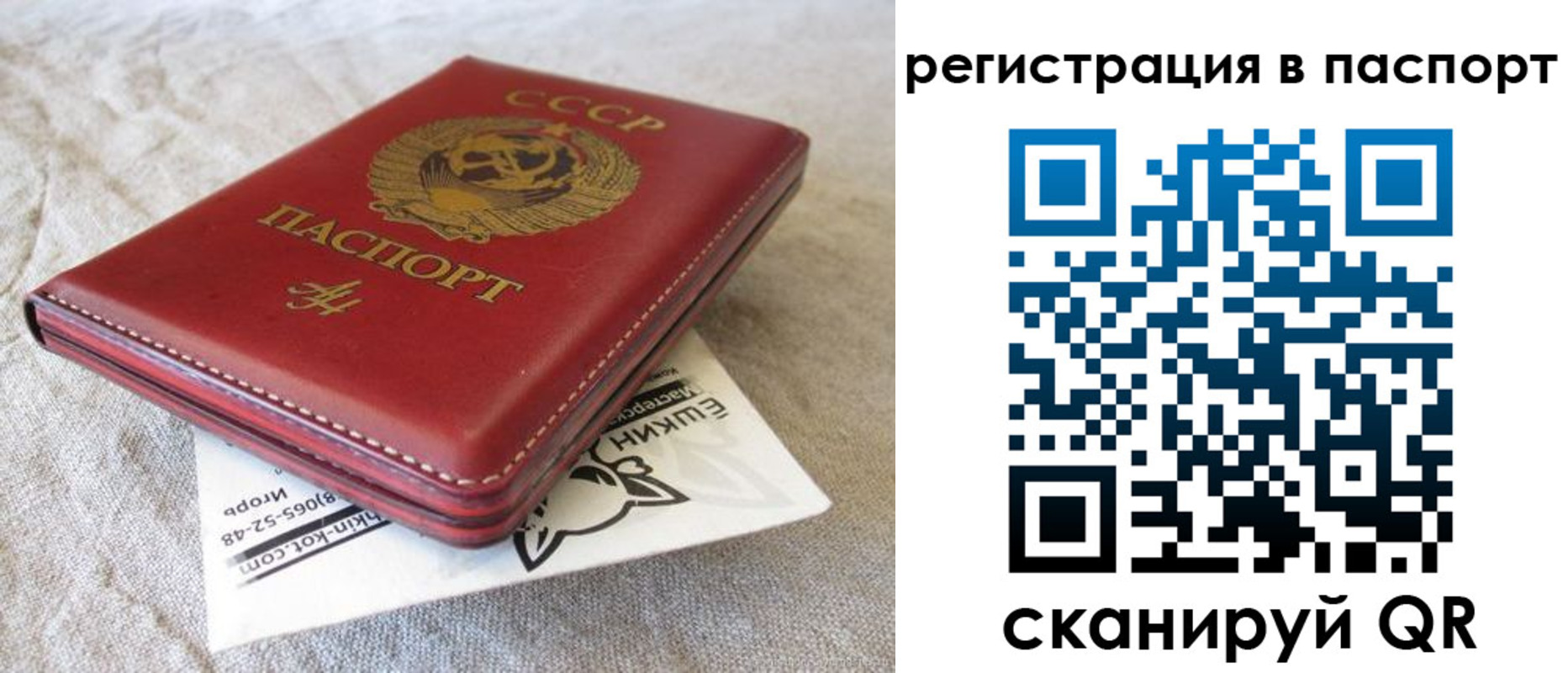 где прописаться в Кингисеппе